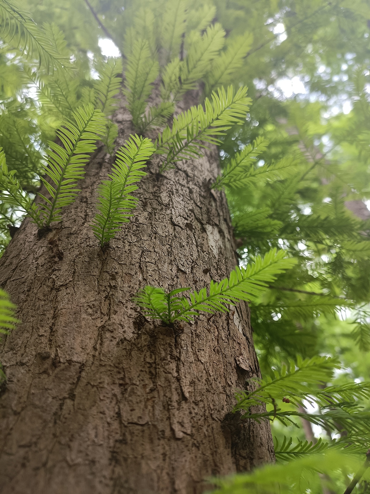 广东七星岩景区