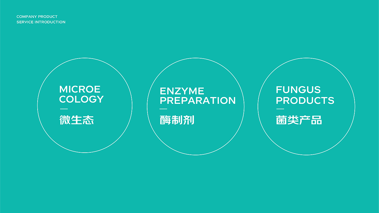 拓本TUOBEN&生物科技农业品牌VI设计