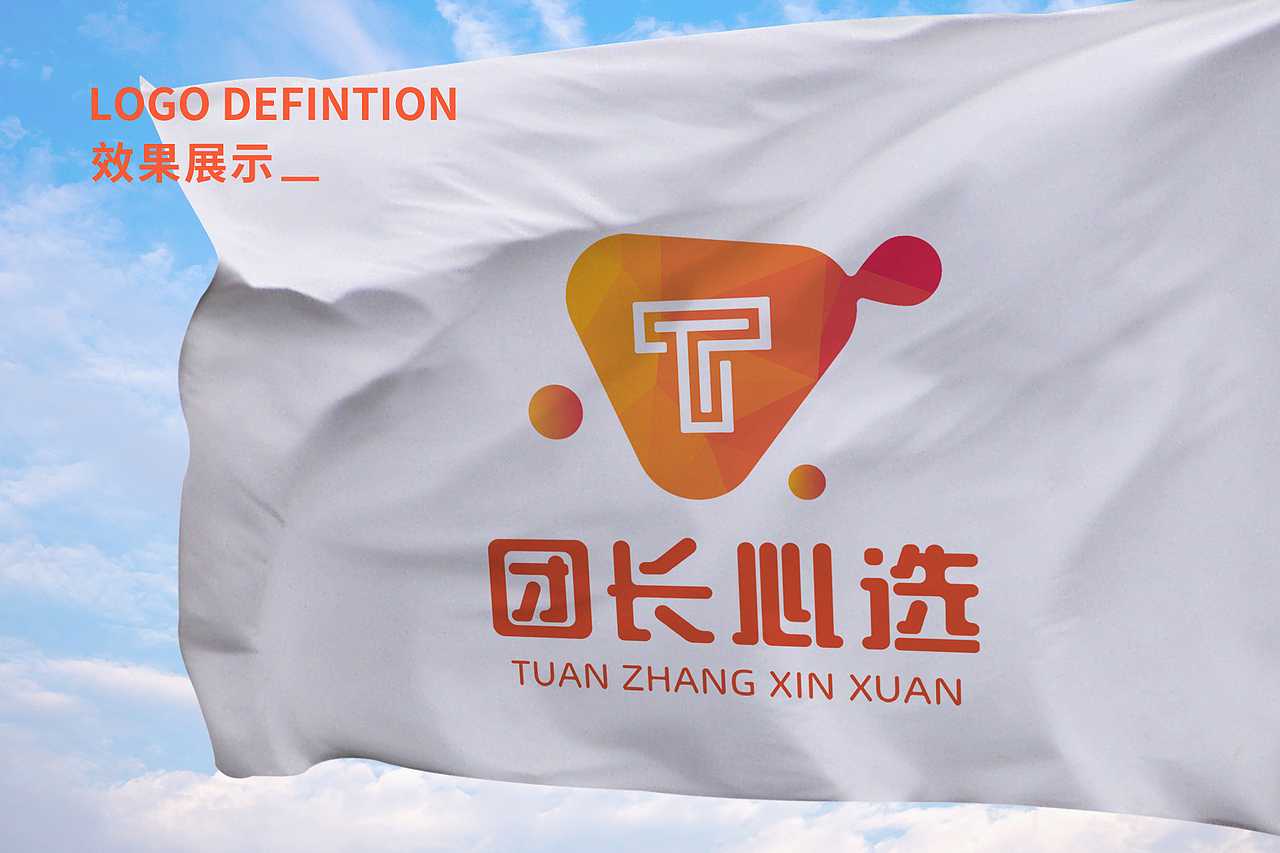 团长心选 品牌LOGO提案