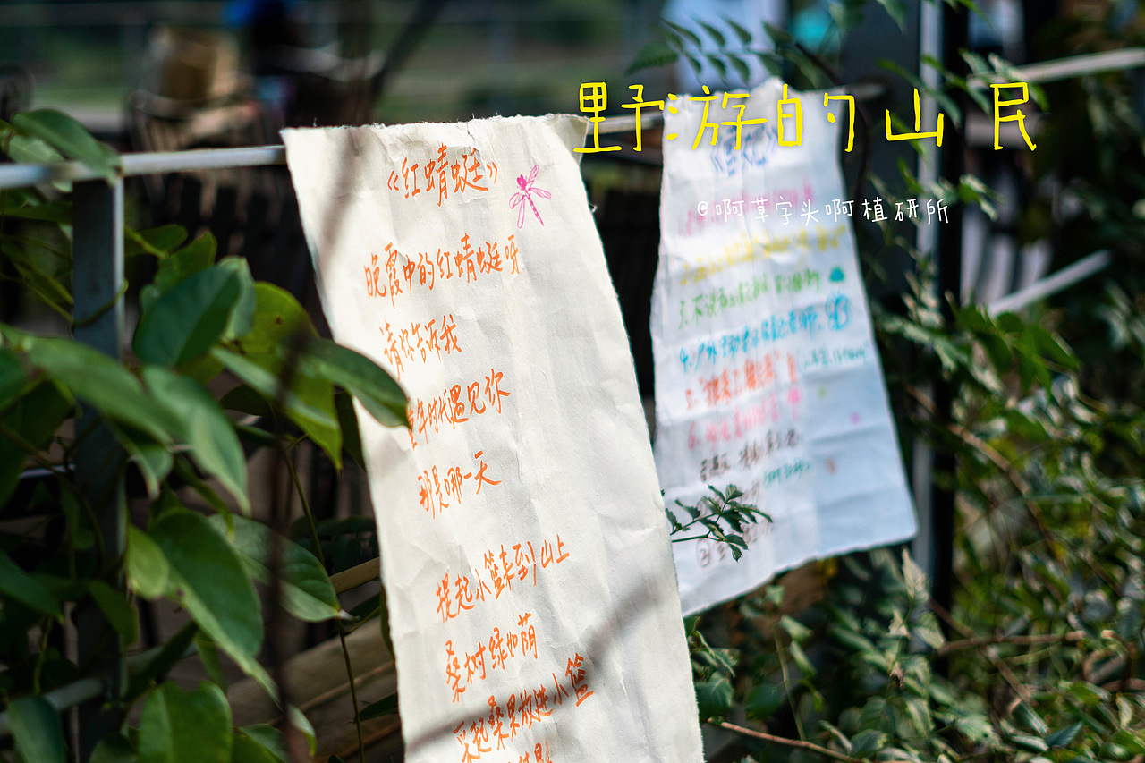 国庆营-野游的山民01