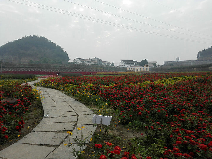 10月26日 和家人游义兴百科园（图ZMjA5OTQ0Njg=） - 短片 - 站酷设计师静默凡尘杰原创素材 - 站酷ZCOOL