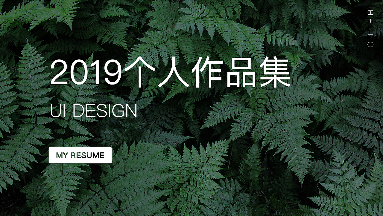 2019个人作品集