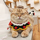 君莫笑zz的头像