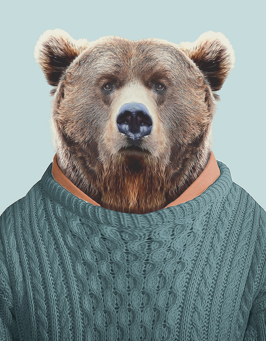 灰熊动物元素矢量图AI