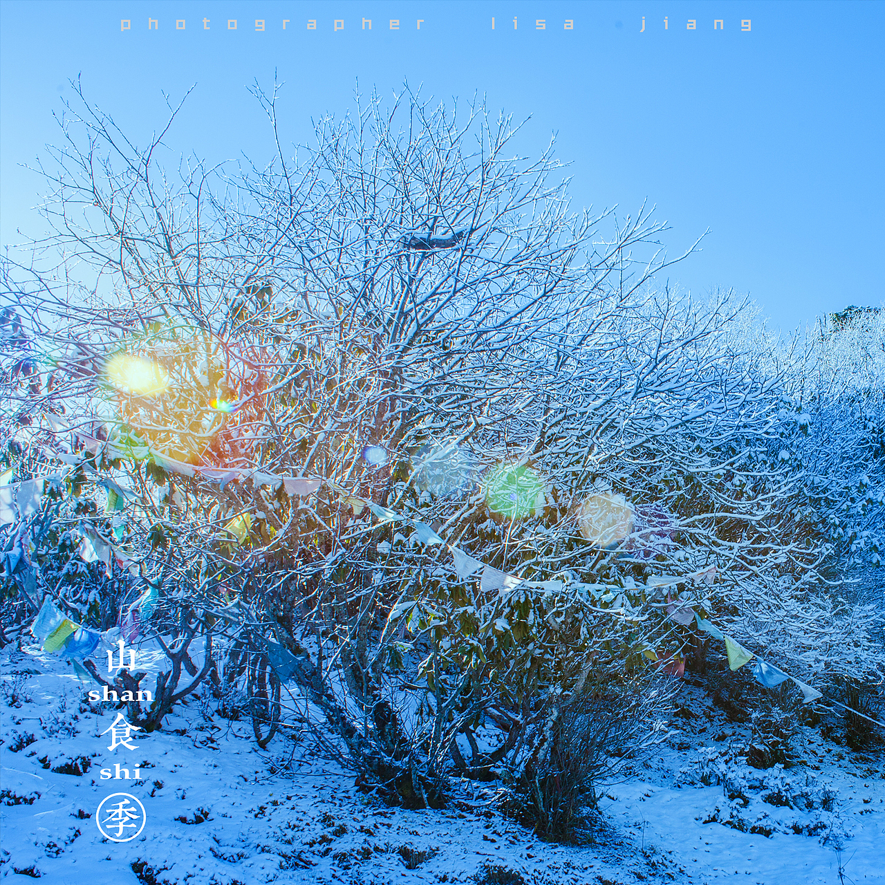 小品四季（图ZMTA4NTgyNjEy） - 产品摄影 - 站酷设计师挲lisa原创素材 - 站酷ZCOOL