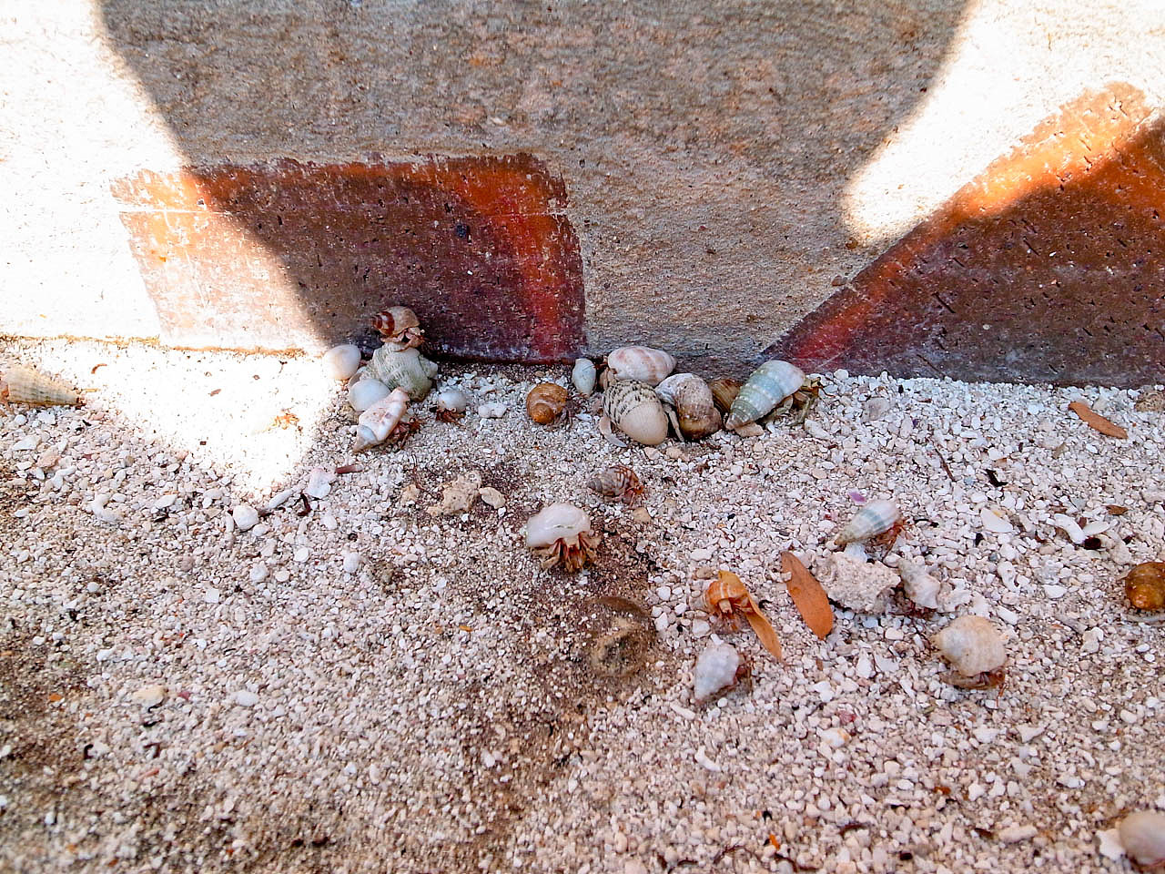 马尔代夫游记 - 梦幻岛 - 四晚六天（图ZNTM5ODI0OA==） - 风光摄影 - 站酷设计师blue_hermit原创素材 - 站酷ZCOOL