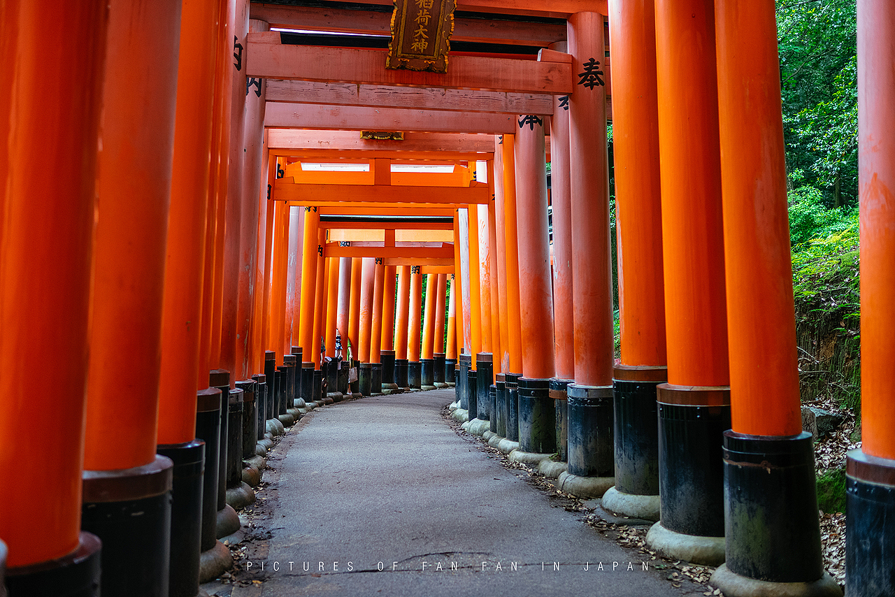 独自一人初涉日本，为期12天的自由行——京都篇（1）（图ZMTE5NzEwNzQ4） - 风光摄影 - 站酷设计师断木成林原创素材 - 站酷ZCOOL