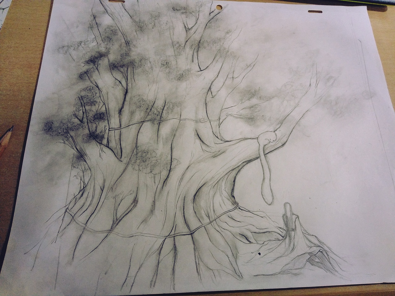 不渝记(狐君与华清)