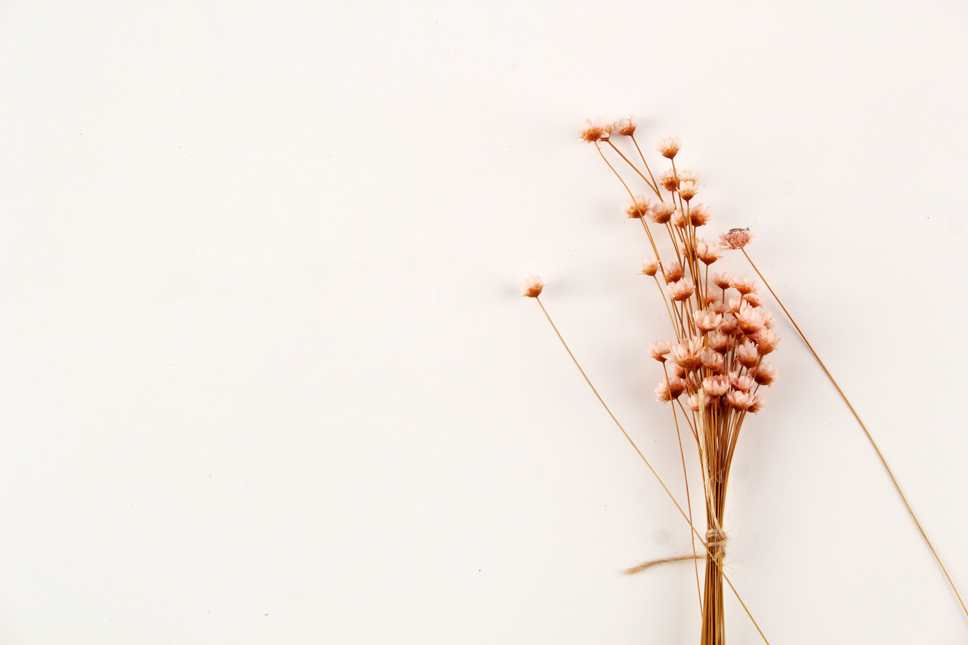 溪山小灰的个人主页（背景预览） - 主页背景设置 - 站酷设计师溪山小灰原创素材 - 站酷ZCOOL