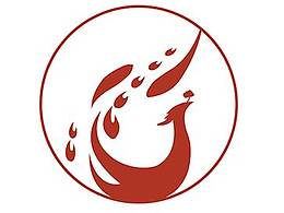 广东单丛茶的现代包装和宣传片的设计与制作