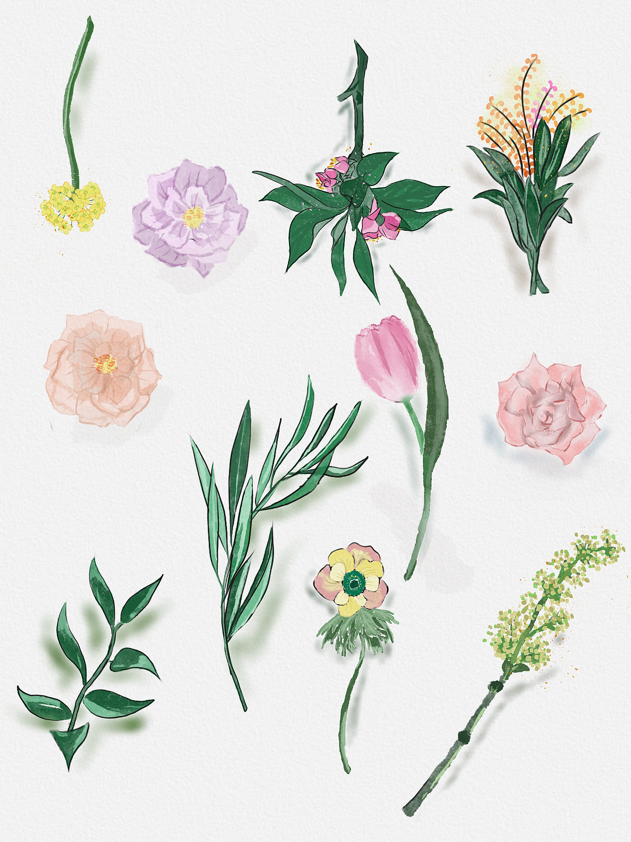 水彩画（图ZMjk0NzU5MDAw） - 创作习作 - 站酷设计师满橘原创素材 - 站酷ZCOOL