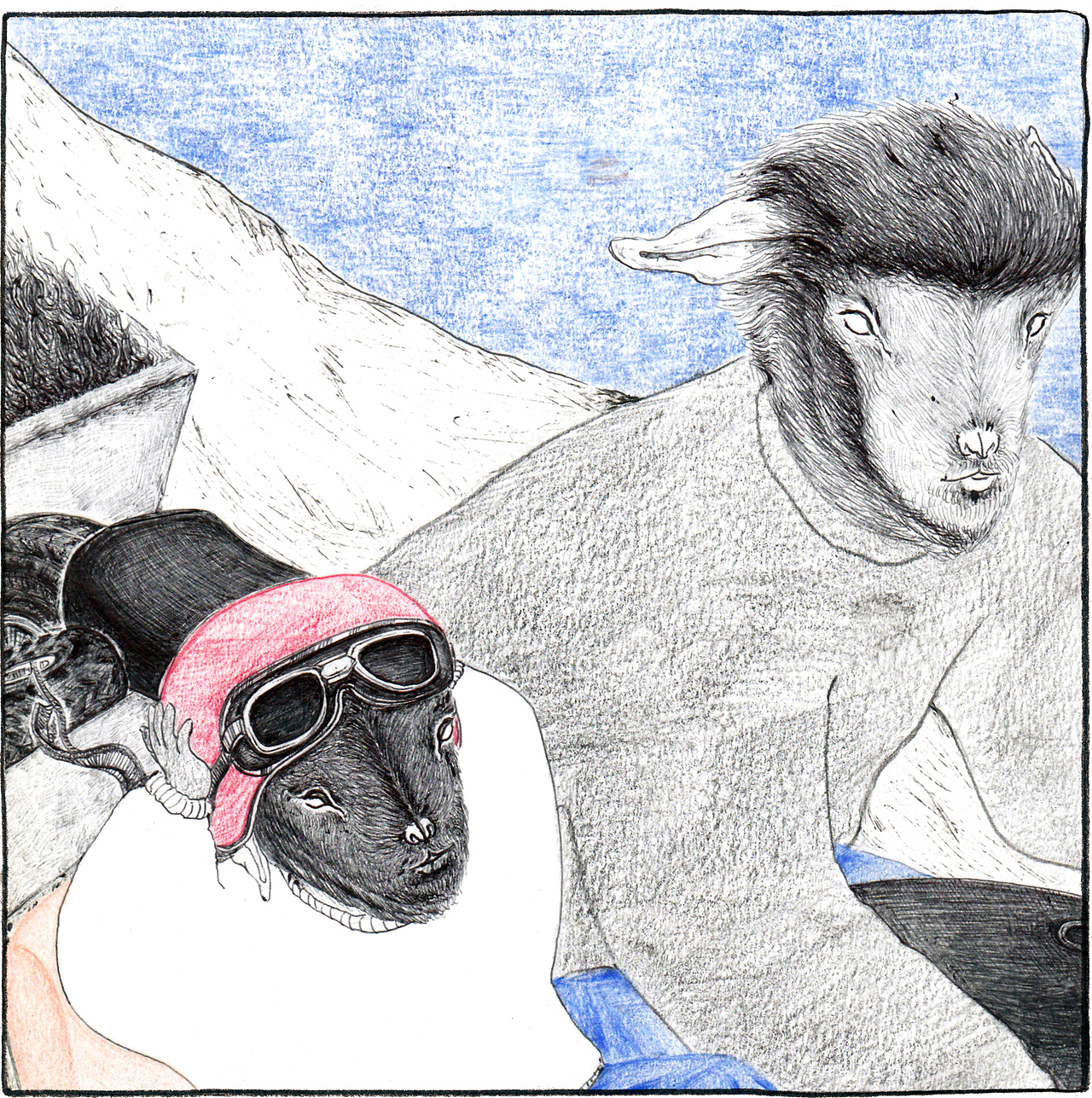 Cramond Sheep 第一话