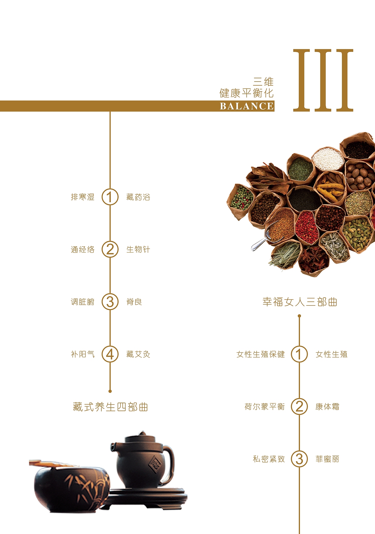 美容项目宣传手册