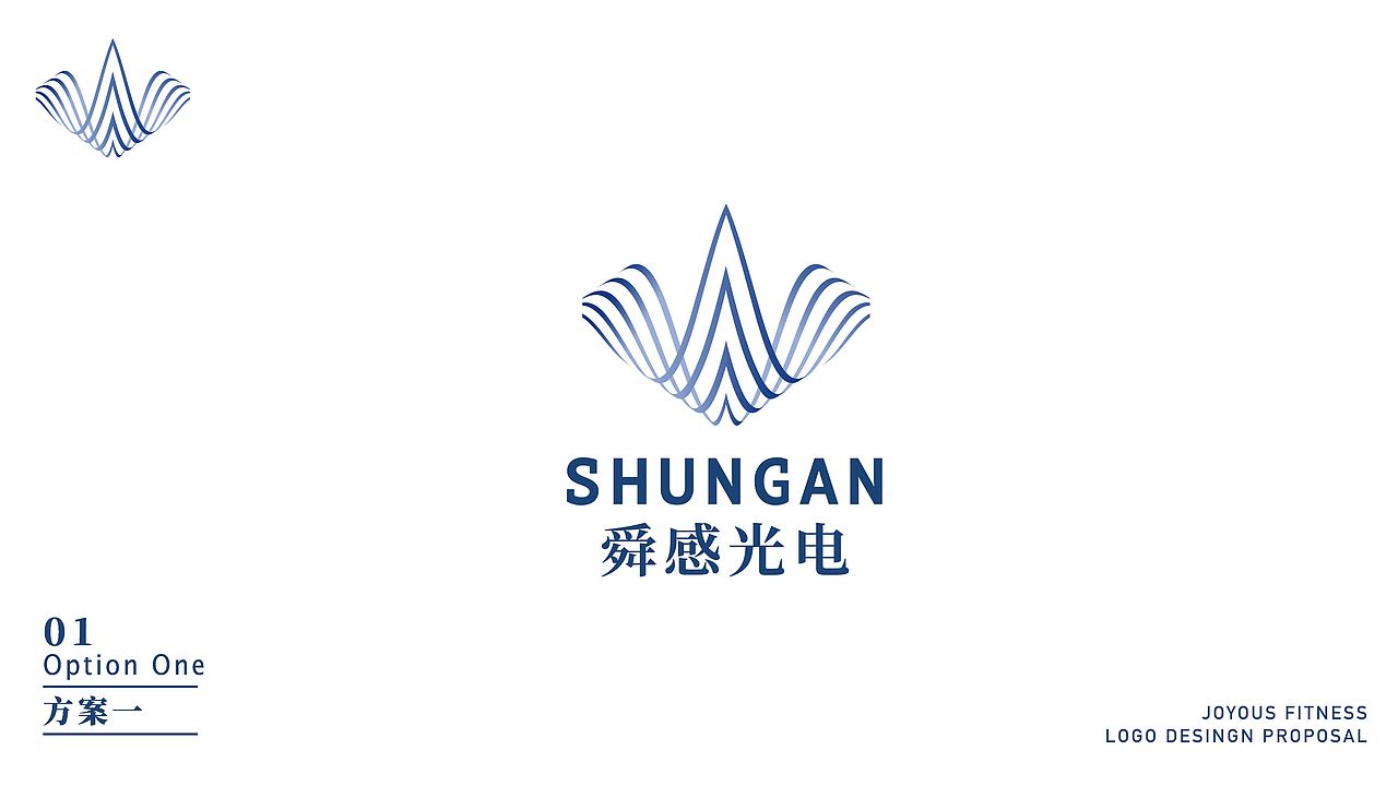 舜感光电LOGO设计