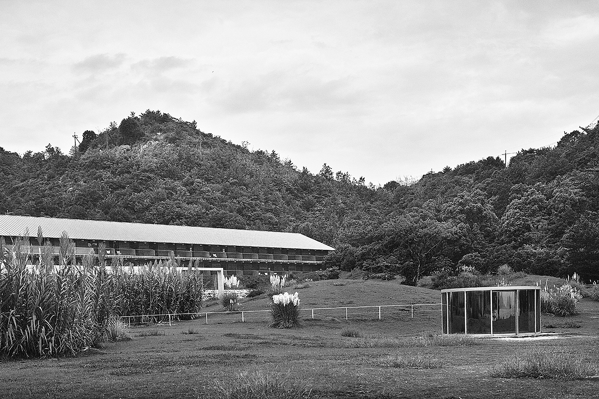 赏未之旅-直岛行