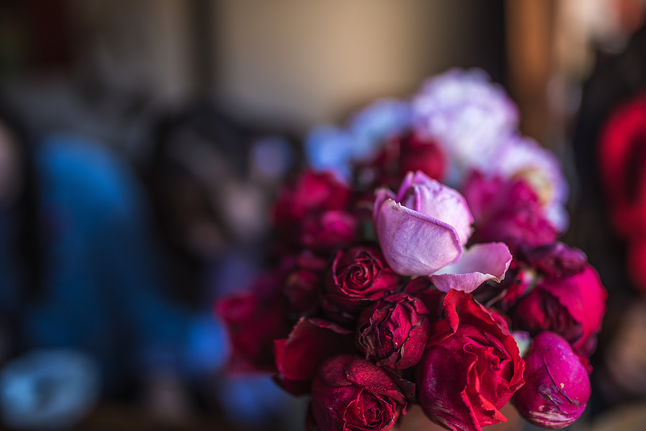 花正开（图ZNjg1NjA2NTY=） - 风光摄影 - 站酷设计师猫有灵原创素材 - 站酷ZCOOL