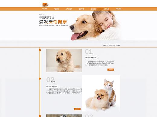 比瑞吉网站改版（个人主页-ZMzM0ODAwMDQ=） - 企业官网 - 站酷设计师沁园春的雪原创素材 - 站酷ZCOOL