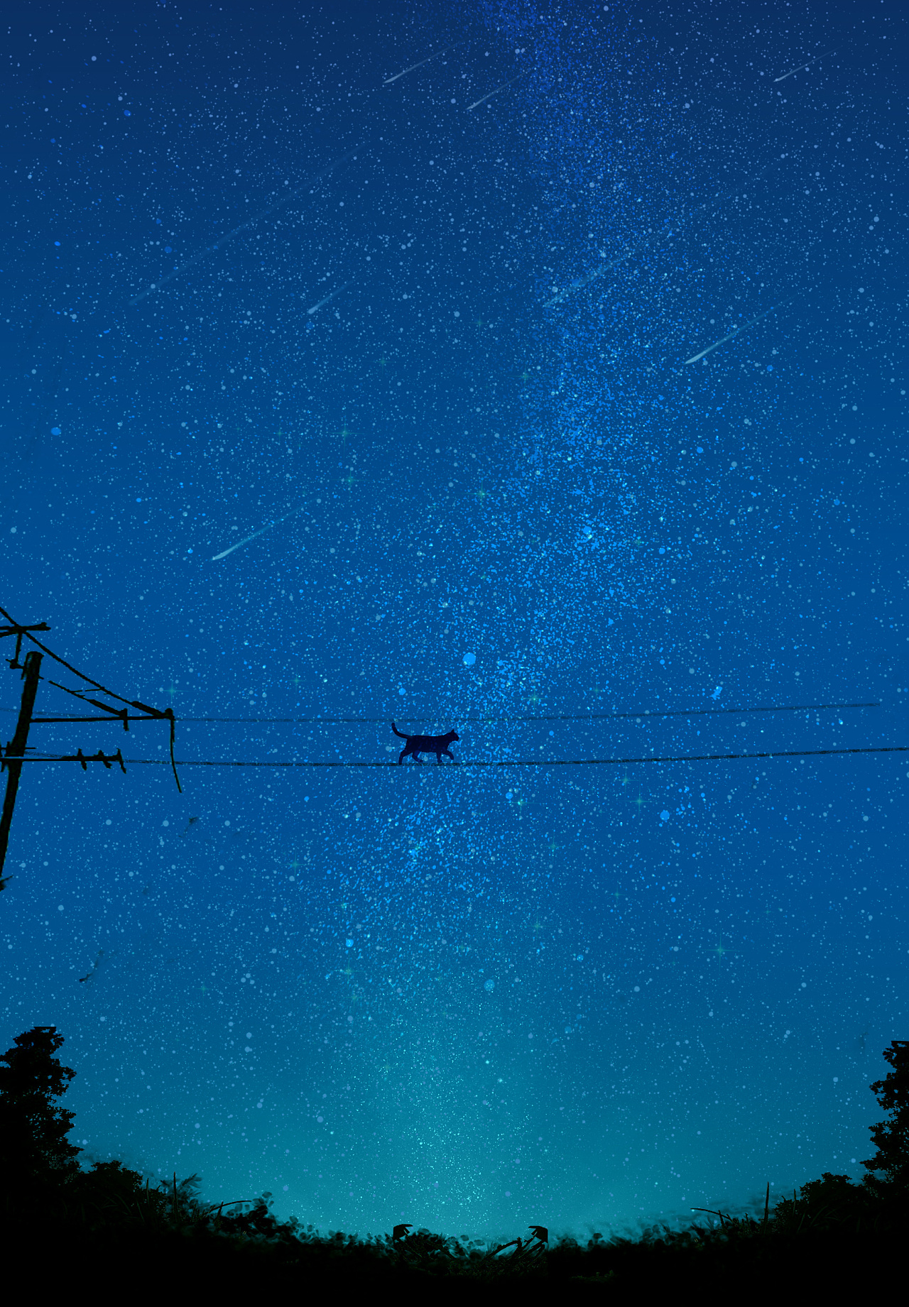星空猫孤独图片