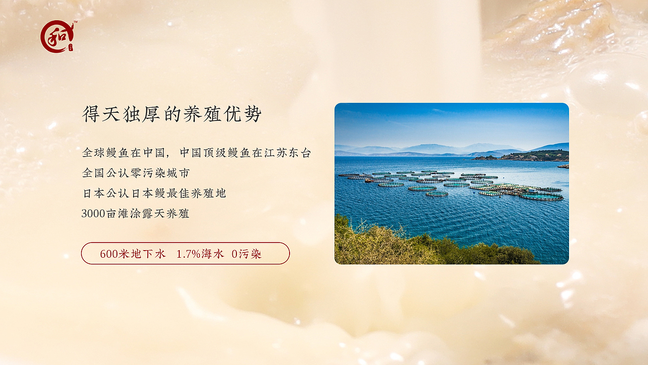 《鳗鱼火锅》餐饮演讲PPT（图ZMjQ1MzA1MzMy） - 其他网页 - 站酷设计师夕月_Lee原创素材 - 站酷ZCOOL