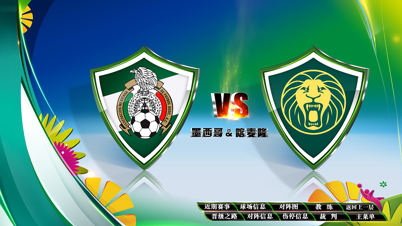 乐视网2014巴西世界杯包装