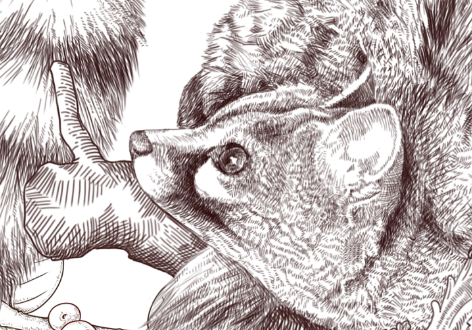 爱情咖啡（图ZMTQ0MTQ3Mzky） - 商业插画 - 站酷设计师林啊馒原创素材 - 站酷ZCOOL