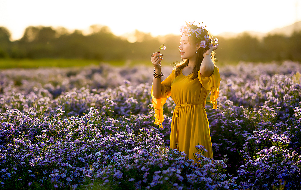 七孔桥花海写真