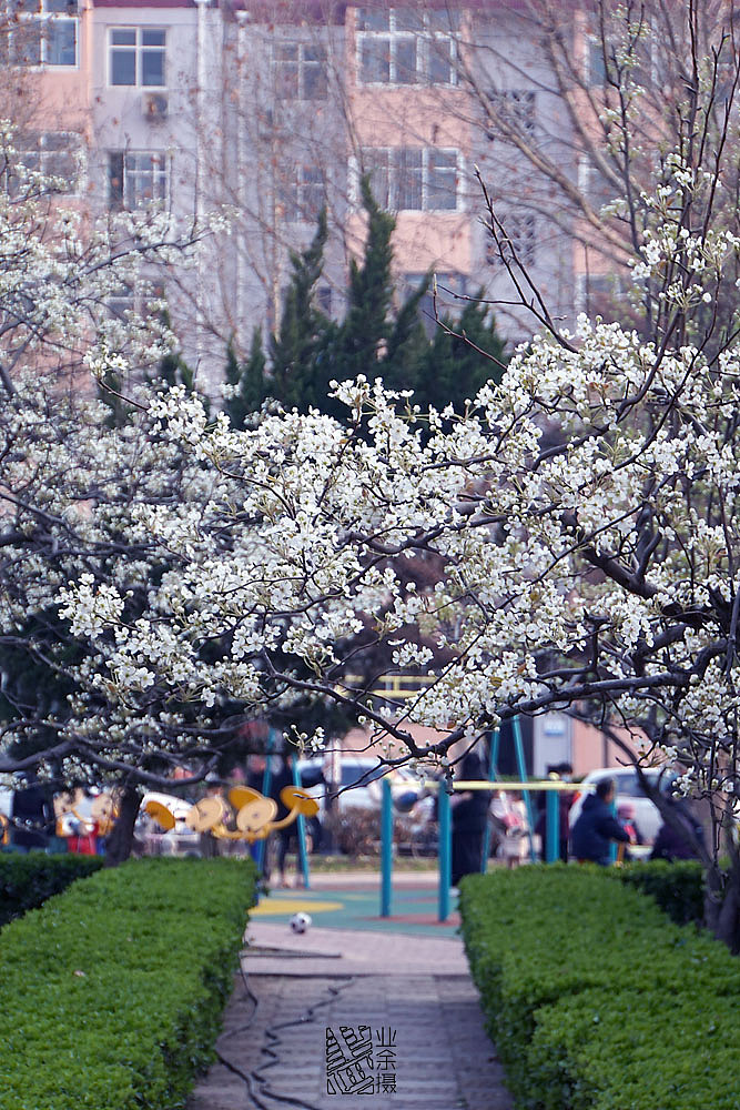 不像春天的春天