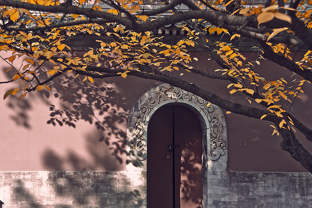 大觉寺寻秋《色、空、影》（图ZMzAwNDY2NjA=） - 风光摄影 - 站酷设计师上古清茗原创素材 - 站酷ZCOOL