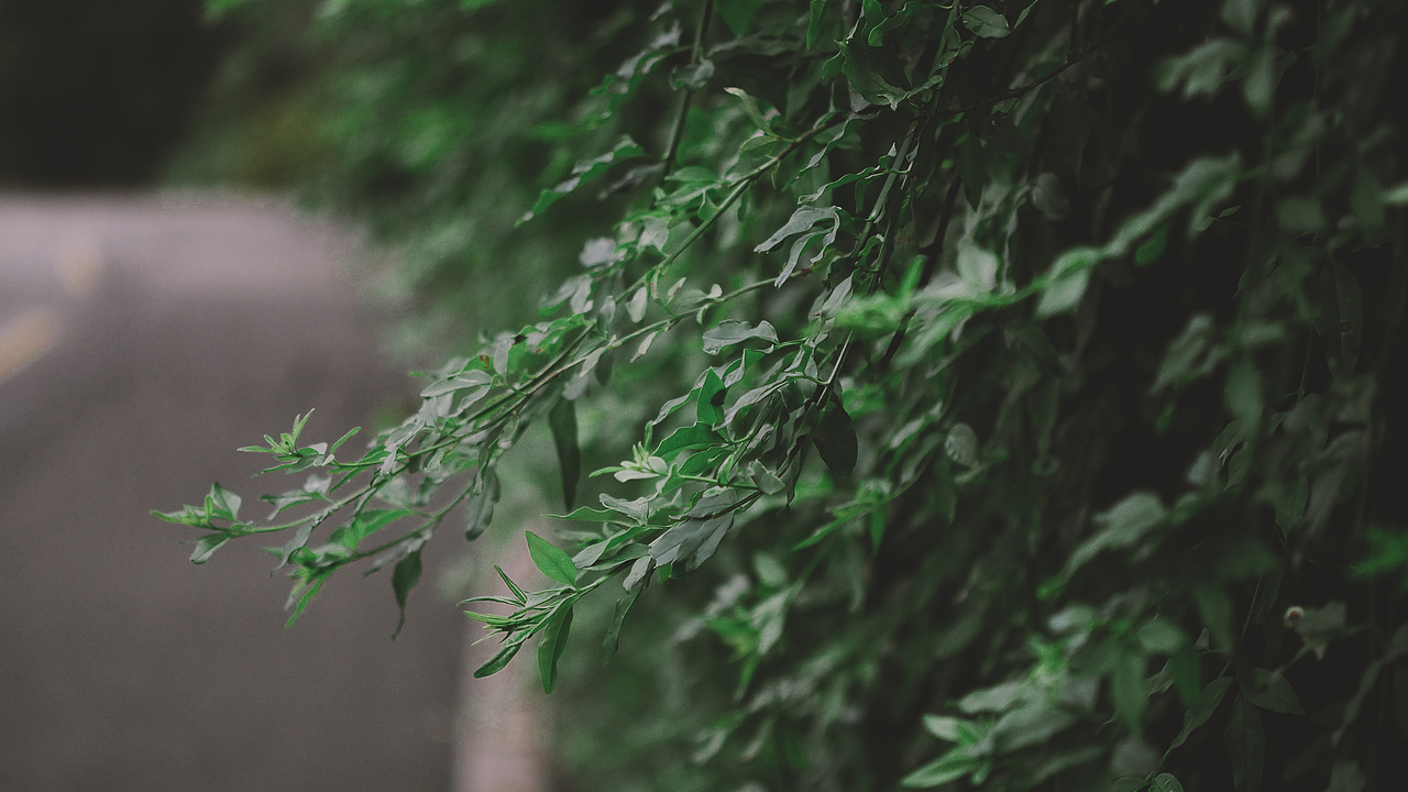 “转眼夏天变成了故事,秋天成了风景”