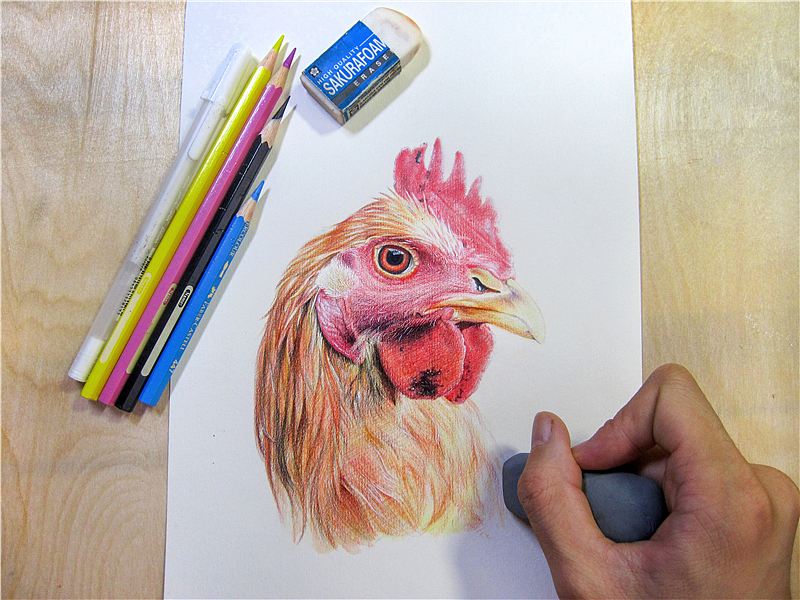 纸上彩铅~~动物篇(2013年作品小记)（图ZMjkxNjYzMjQ=） - 绘画 - 站酷设计师超超的青葱原创素材 - 站酷ZCOOL