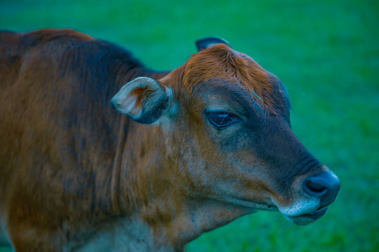 香港湾仔南营地及周边02