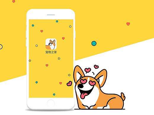 宠物APP 