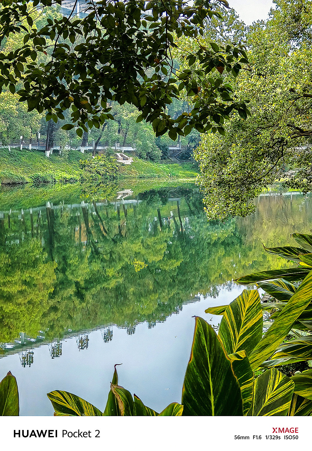 在西南大学,花园和湖畔,构成一幅唯美的画面