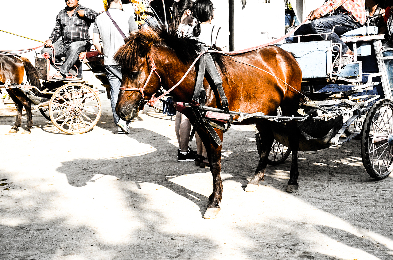 北方的姑娘 请不要再留恋南方的迷惘（图ZNTM4ODcxMjQ=） - 风光摄影 - 站酷设计师Design Sun原创素材 - 站酷ZCOOL