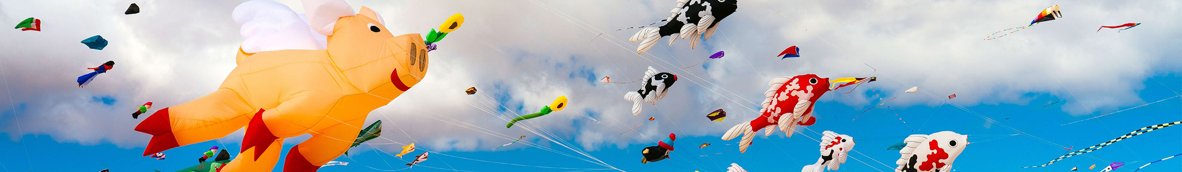 设计师田野1的个人主页（封面预览） - 主页封面设置 - 站酷设计师设计师田野1原创素材 - 站酷ZCOOL