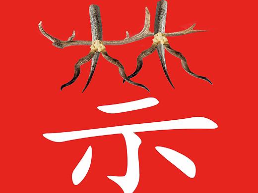保护动物