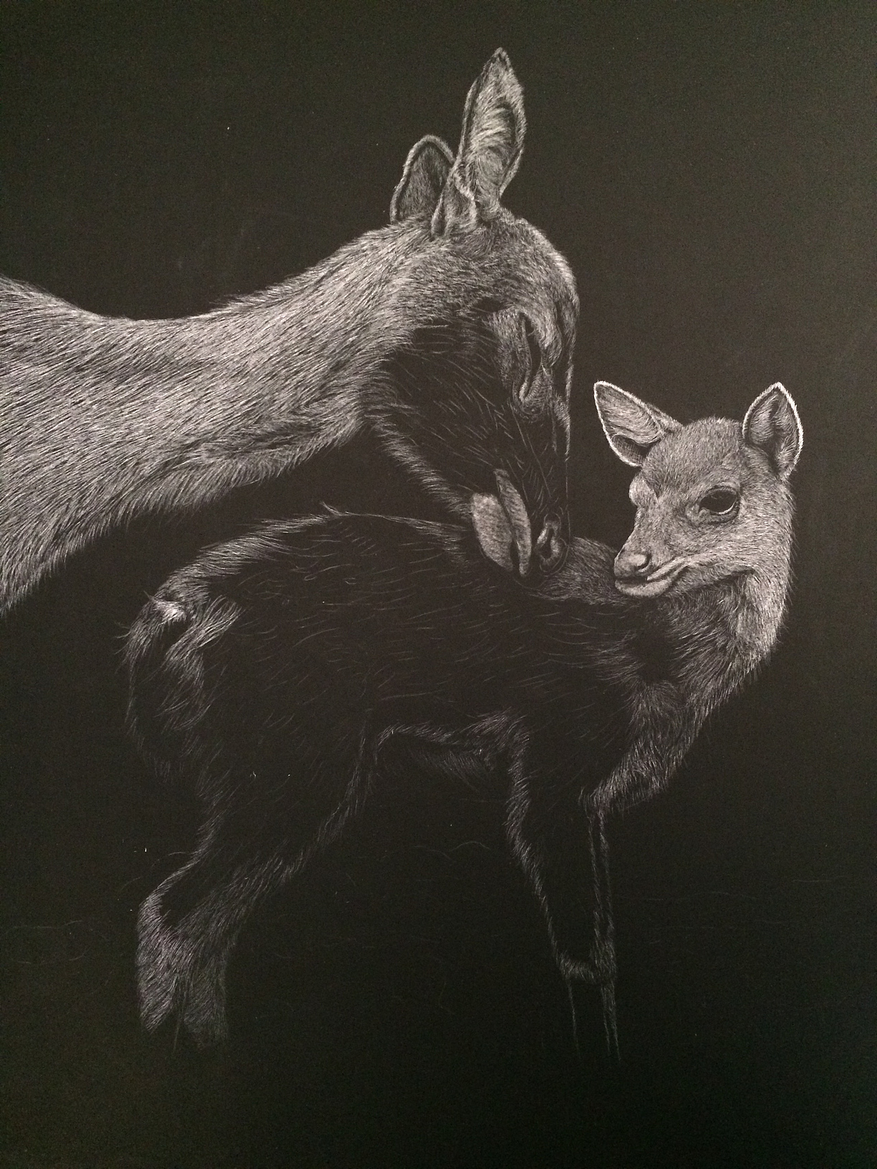 李子哥刮画作品《一鹿有你》