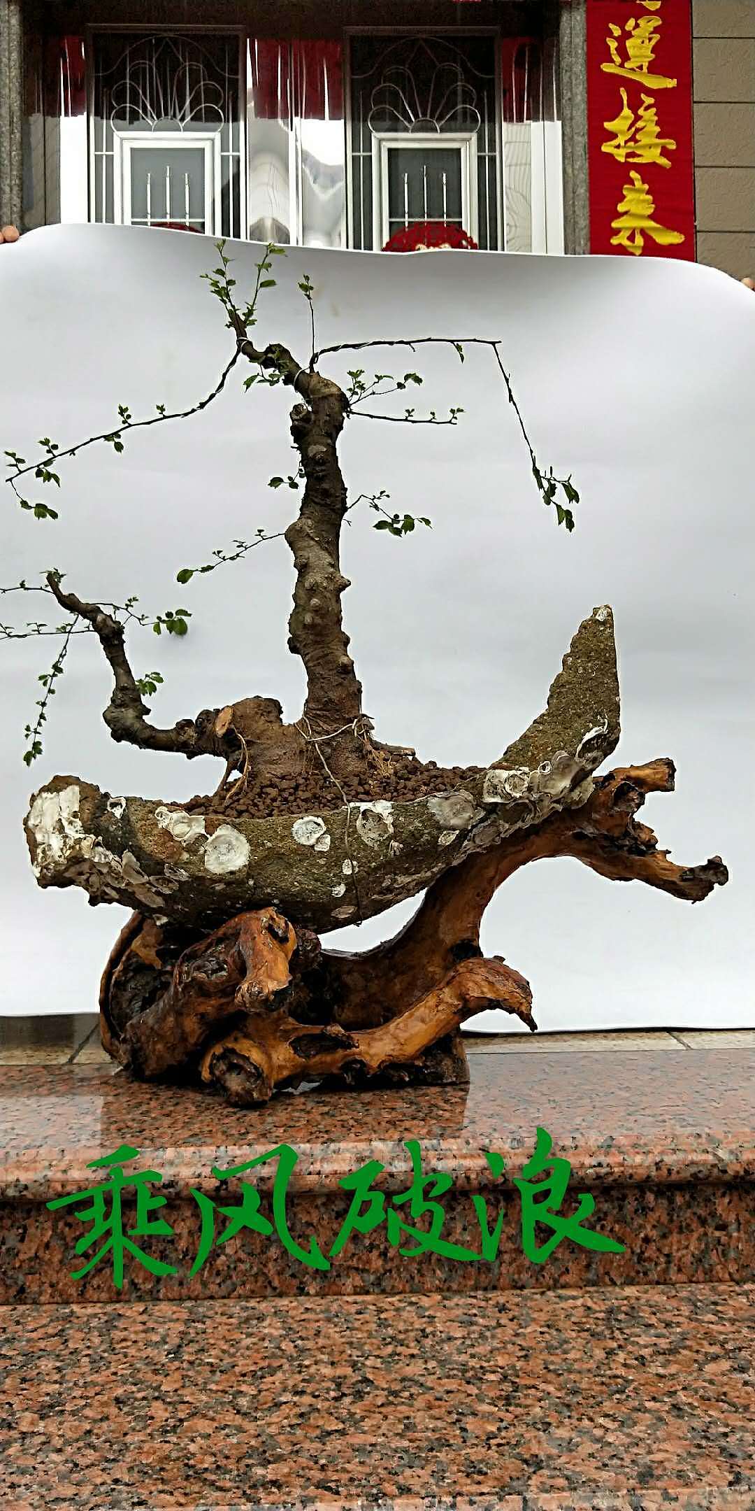 手绘盆景（图ZMTUxMTI1MDQw） - 像素画 - 站酷设计师Z75835907原创素材 - 站酷ZCOOL