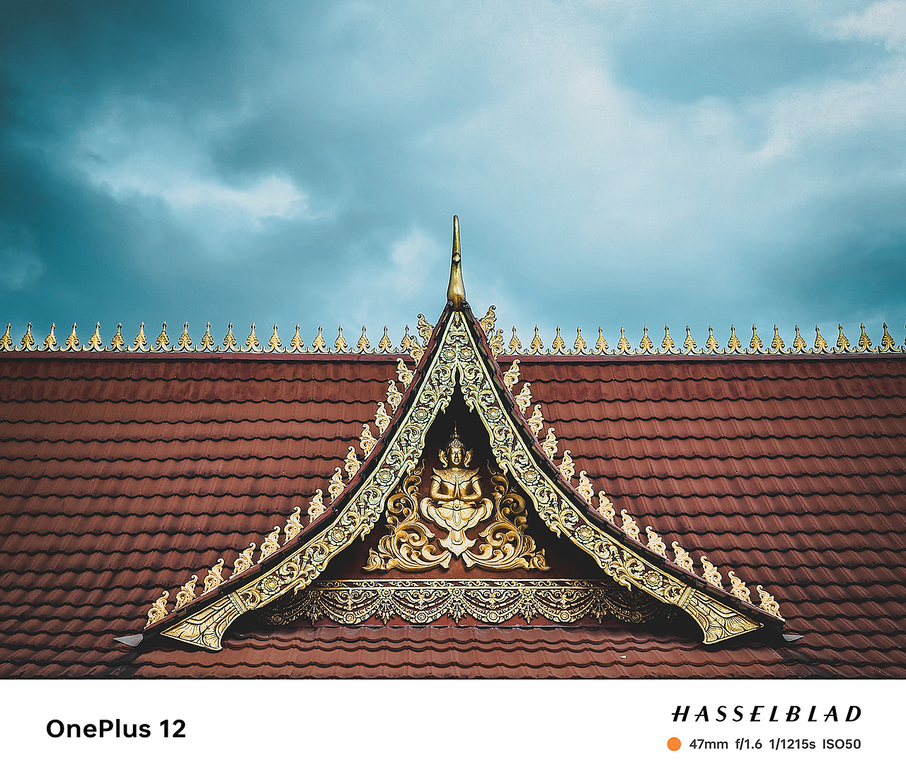 OnePlus 12｜总有一个冬季要留给西双版纳（图ZMzYxNTE2NjI4） - 风光摄影 - 站酷设计师图龙摄影原创素材 - 站酷ZCOOL