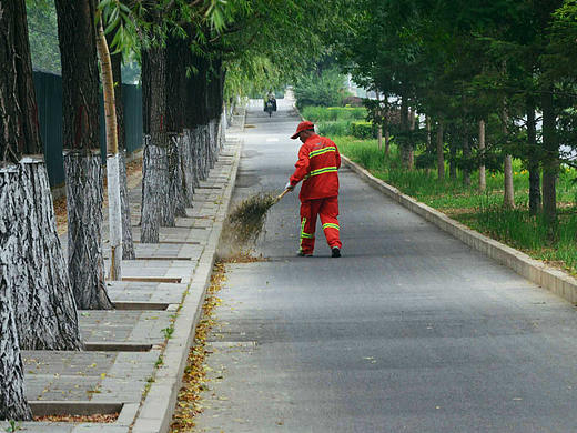 为了环保，我们走上了街头 —聚师网“绿色环境，你我共建”活动纪实 