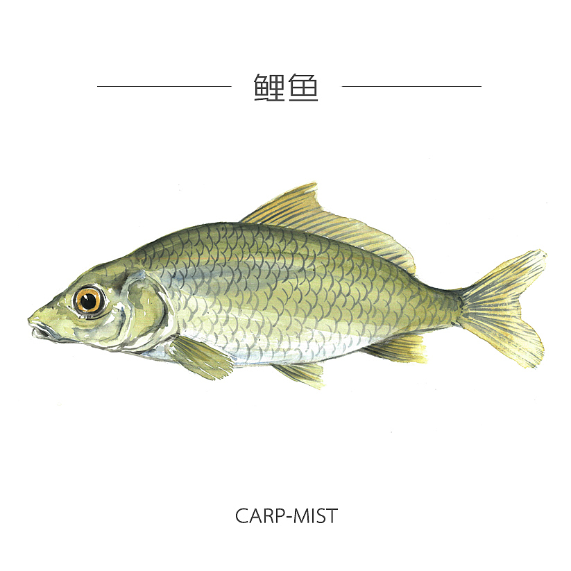 人类食谱-海鲜（图ZMzY4MDkyOTI=） - 商业插画 - 站酷设计师反派放映原创素材 - 站酷ZCOOL