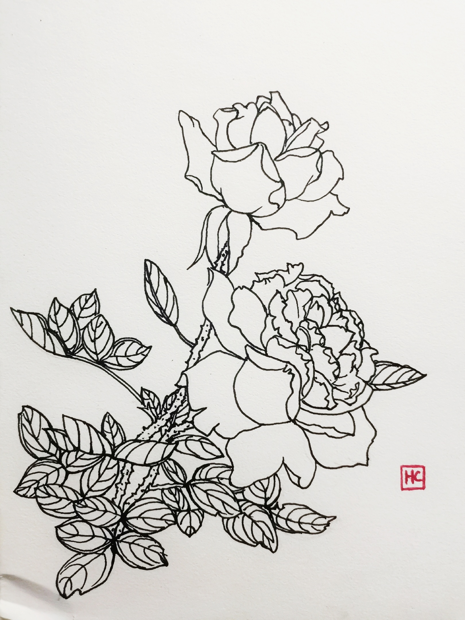 素描《玫瑰花》|纯艺术|绘画|Art安德 - 原创作品 - 站酷 (ZCOOL)