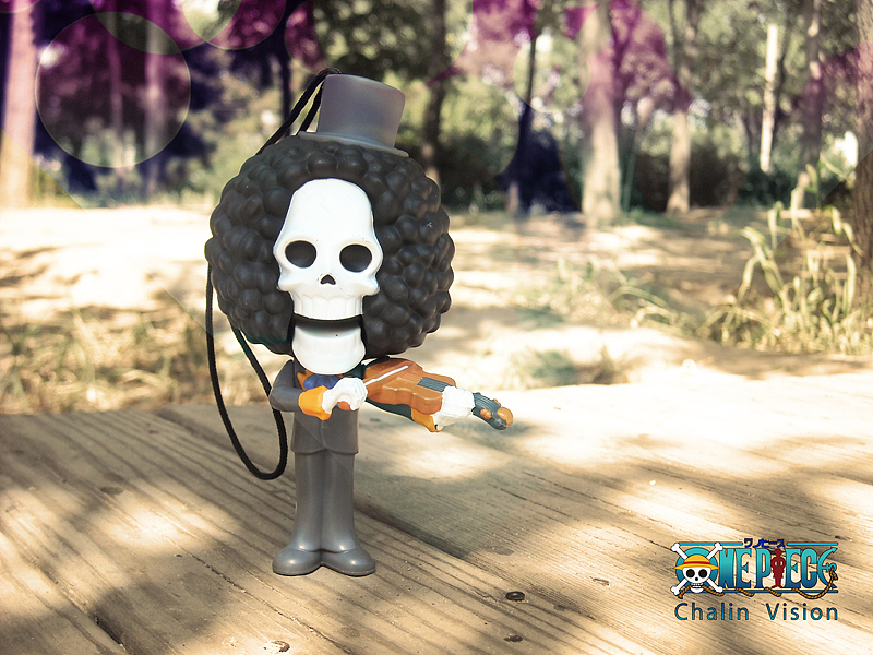 静物摄影—《one piece 海贼王》（图ZMTExODM1Njg=） - 产品摄影 - 站酷设计师貓兒原创素材 - 站酷ZCOOL