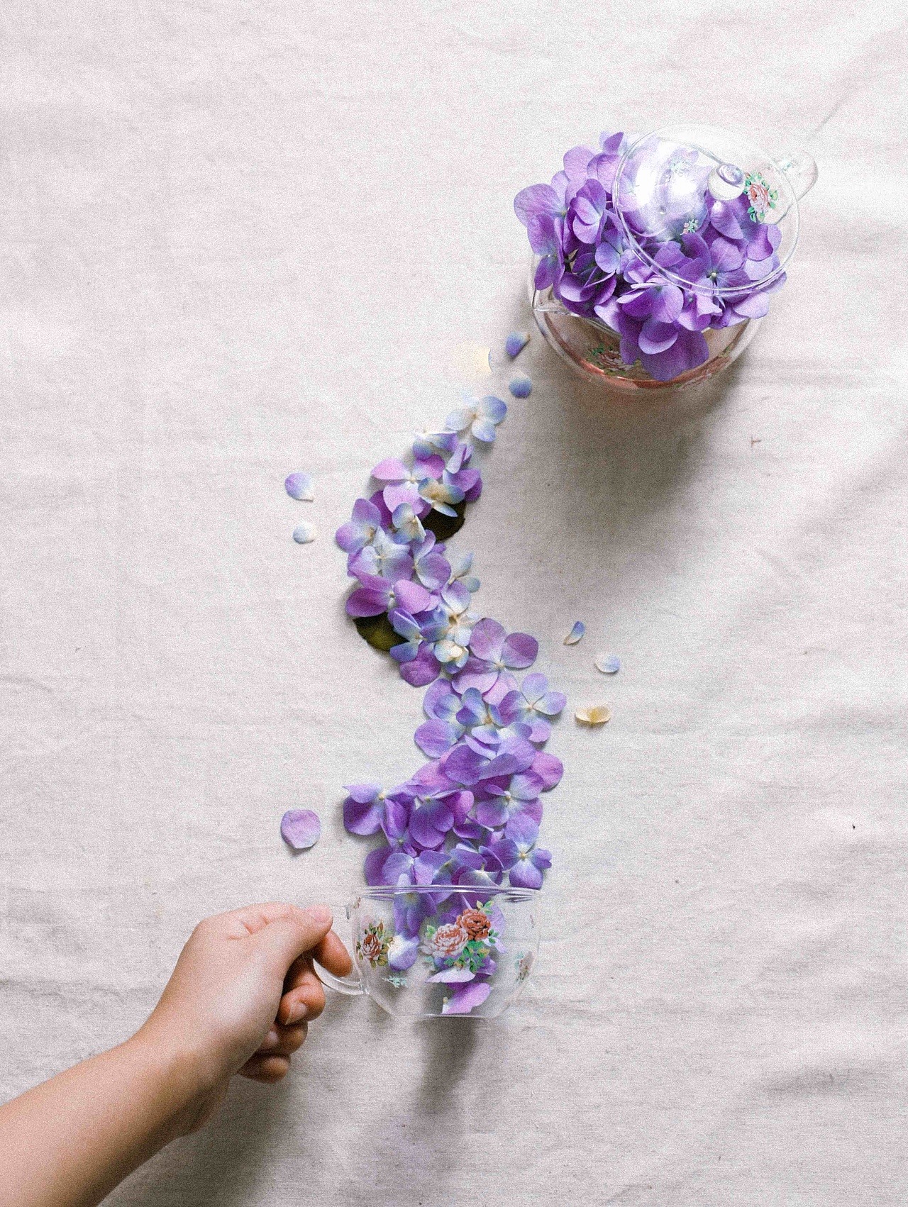 茶壶创意拍摄|焦糖猫（图ZMjY4OTI2MjM2） - 其他摄影 - 站酷设计师焦糖猫原创素材 - 站酷ZCOOL