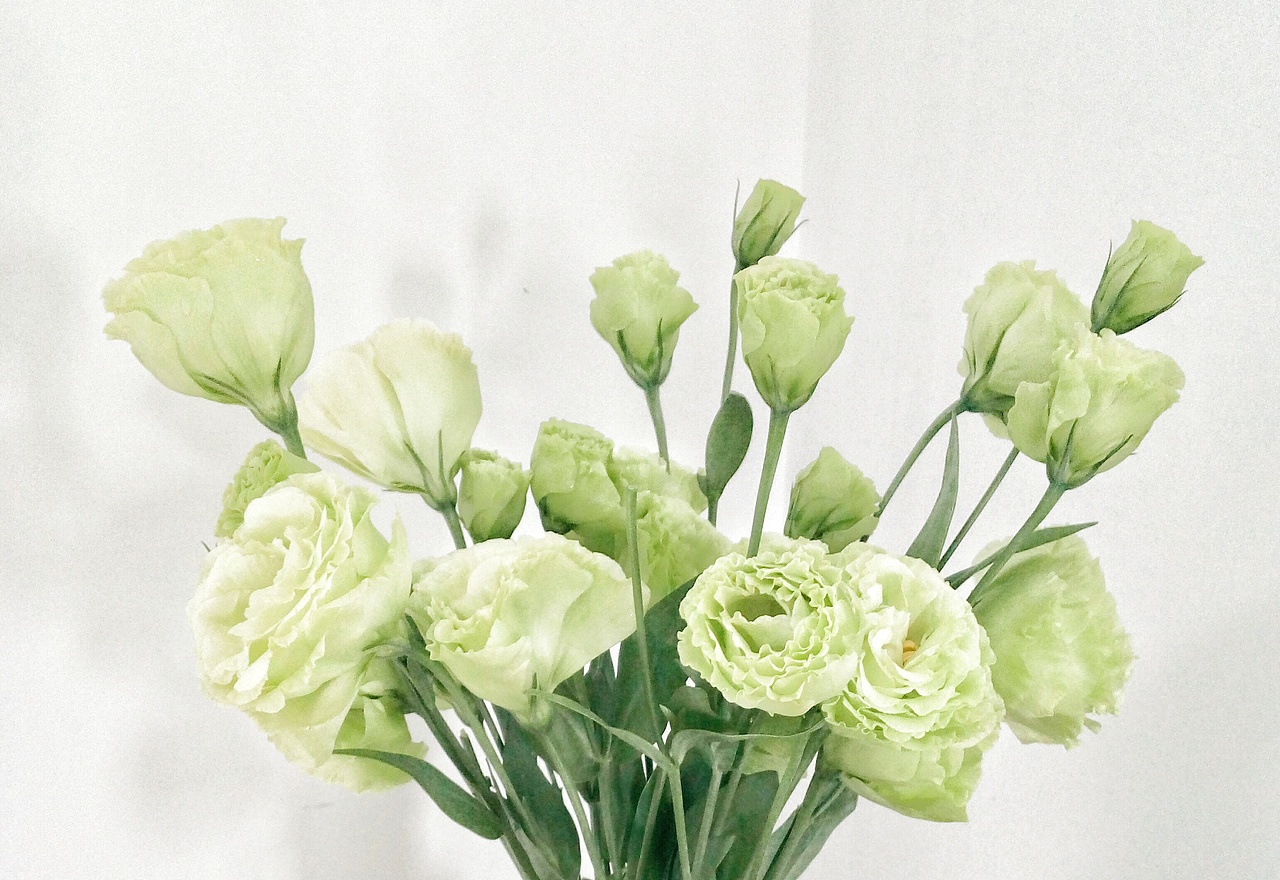 洋桔梗 / lisianthus 一把菜花给你吃啊