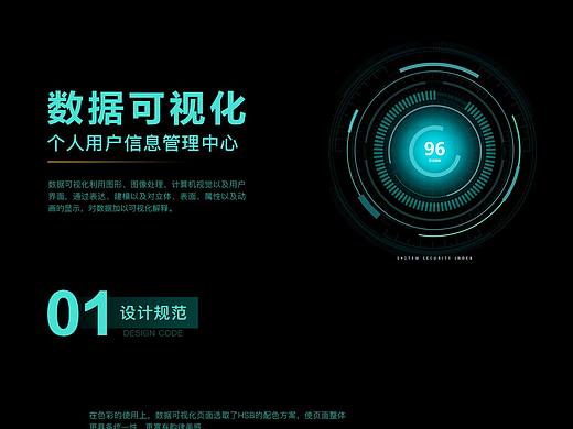 个人信息管理中心 数据可视化展示