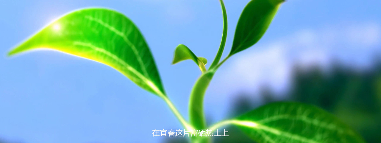 宜春富硒-硒扶贫（图ZMTkwODM4Mjg0） - 影视后期 - 站酷设计师清奇布谷鸟原创素材 - 站酷ZCOOL