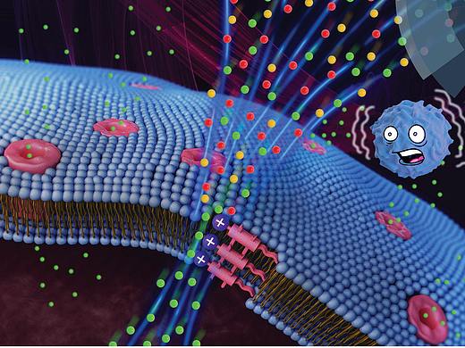 Chemical Science 新加坡生物工程与纳米技术研究所