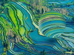 新學(xué)的一個小球球