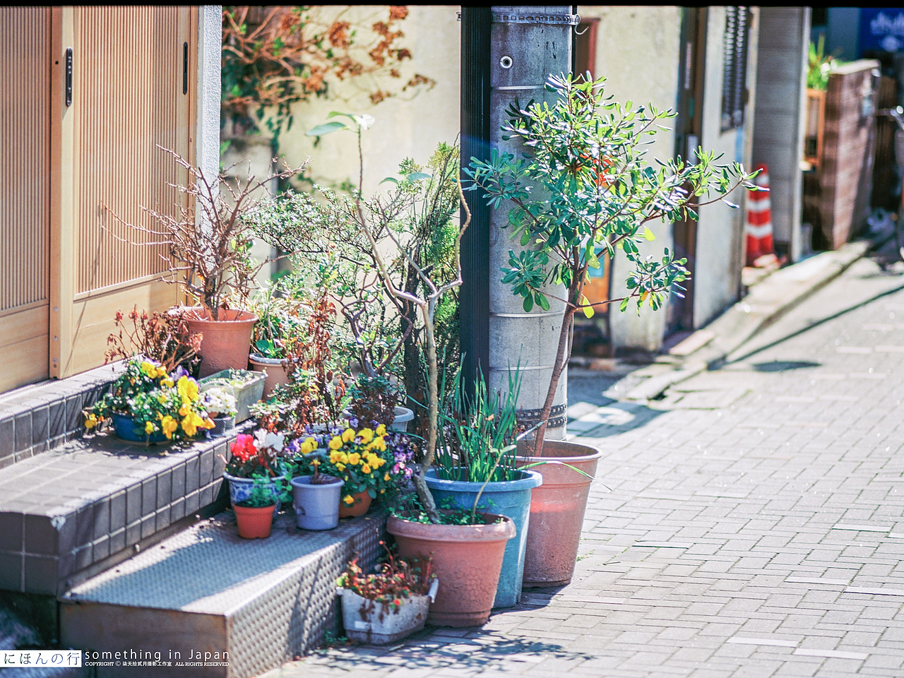 日本之行 day four